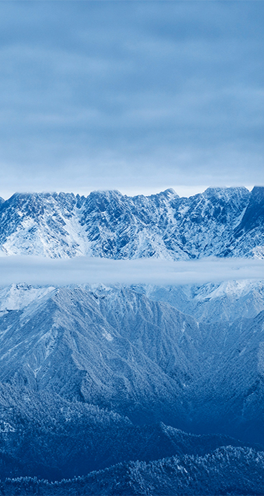 关于vsport胜利因您更精彩